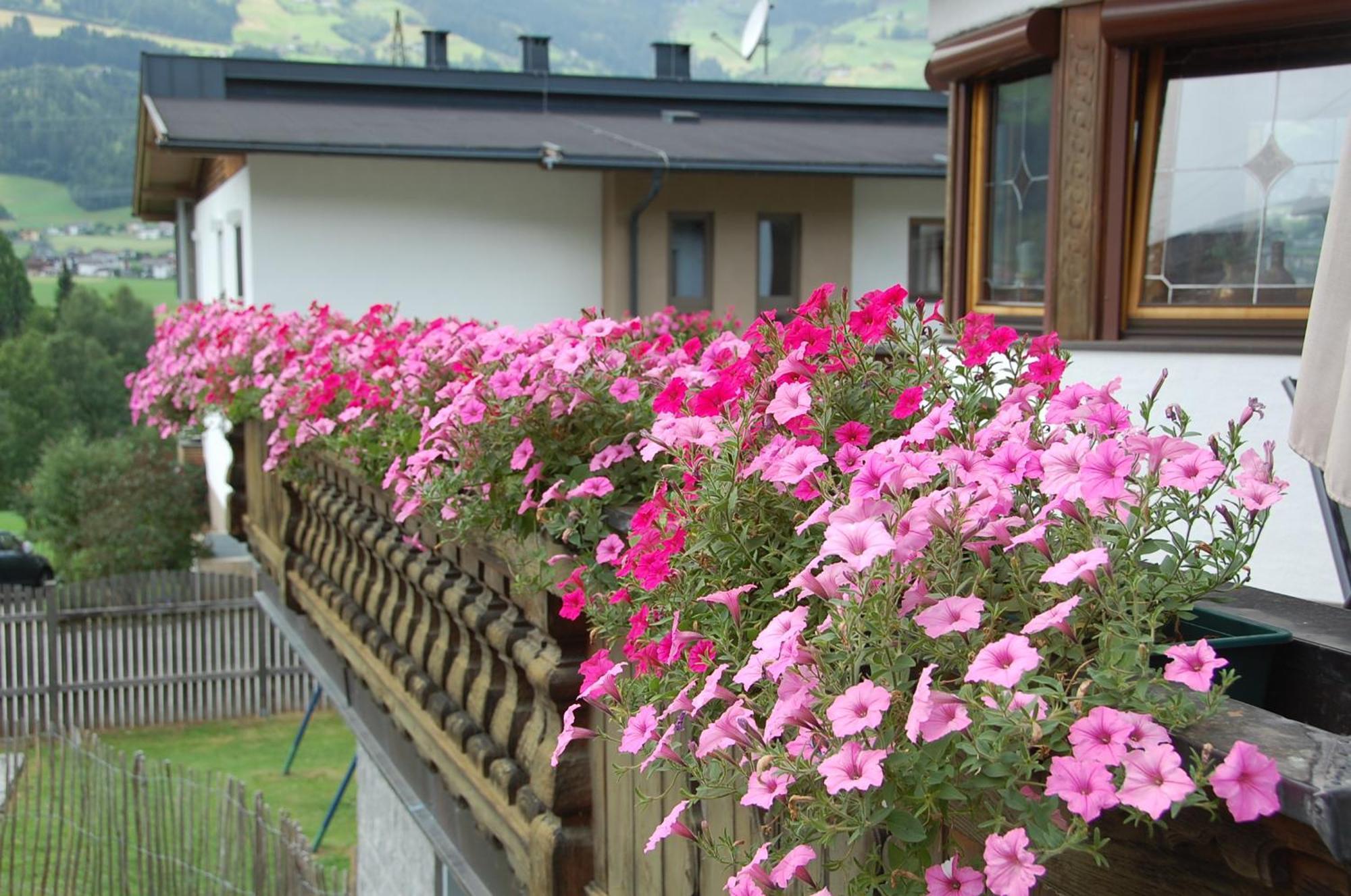 Haus Hart Im Zillertal 6 Personen别墅 外观 照片